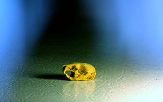 Illustration for article titled Shooting Challenge Freelensing Gallery 2